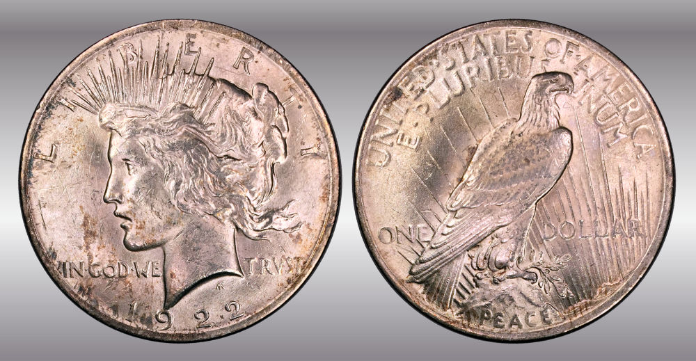 My-Raw-Peace-Dollar-Collection.-.-.-.-Warning!